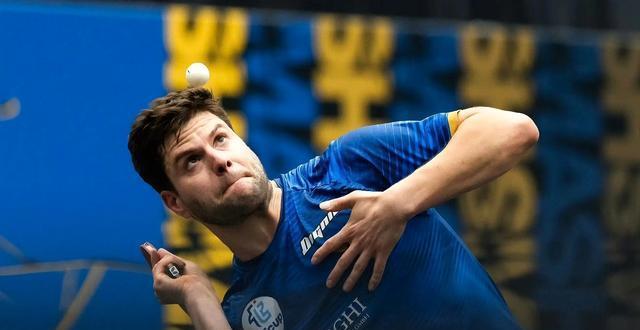 msn, 姆拉德诺维