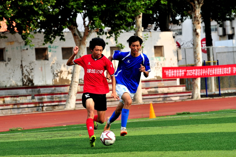 半岛网, inews, bt 半岛网, inews, bt