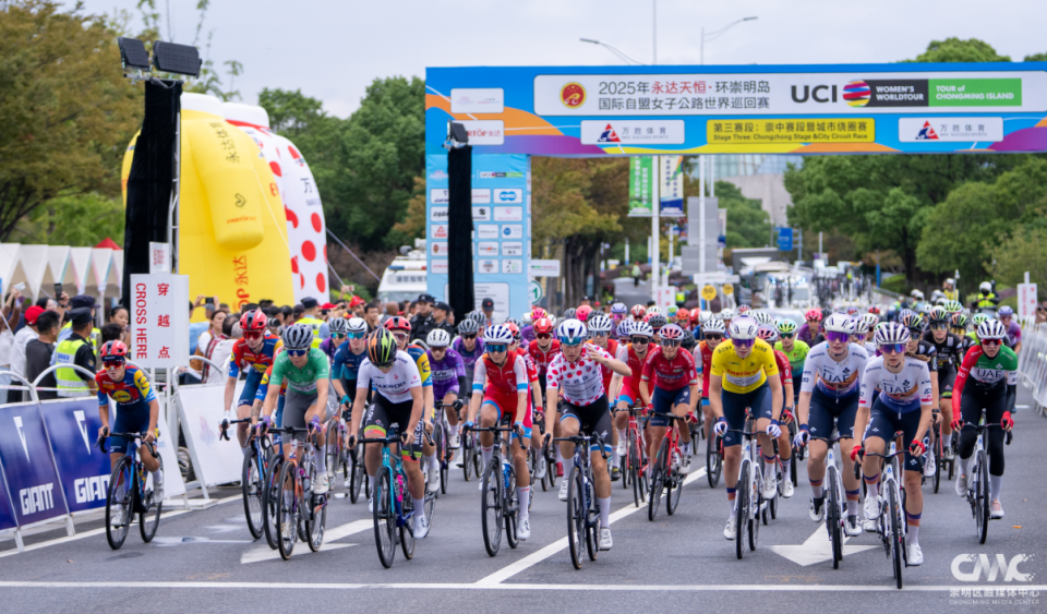 举行, mVva, 区委副书记